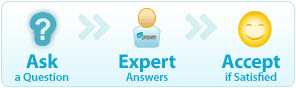 Just Answer Process